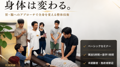 お腹の整体セミナー（内臓調整）（ベーシック）