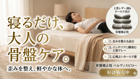 【寝るだけで骨盤が整う】骨盤矯正枕ペルヴィスピロー（先行販売限定200セット）